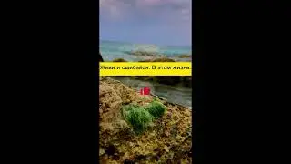 Живи и ошибайся, в этом жизнь. #Motivation #Великие люди #Все ты сможешь.  #море #kaspi #актау