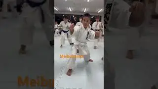 Maegeri🦊#karate #kata #cool #空手