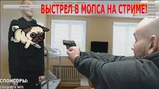 ВЫСТРЕЛ В МОПСА НА СТРИМЕ!