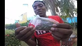Ямайка. как не купить Марихуану? и повеселиться? Jamaica. How to don't get Marijuana and get fun?