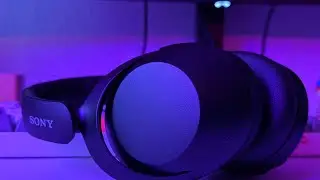 Sony WH-XB910n друзья для прогулок