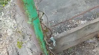 ПРОДОЛЖЕНИЕ КОШМАРА