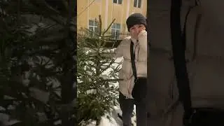 ХОТЕЛ УКРАСТЬ ЕЛКУ 