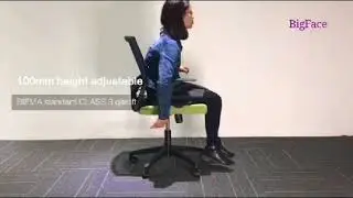 Skason Office Chair Model 2189 with Nylon Base