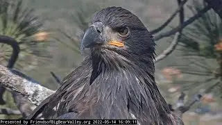 3-3-2023 Happy 1st Birthday To Spirit!