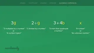 Algebraic Expressions (Coefficients, Constants, Constants, Variables, and Operators)