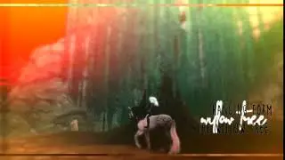 Willow Tree-P1