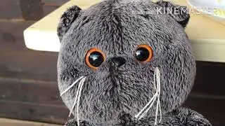 Вечерний влог // Басик и Компания