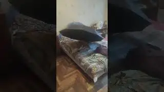 Новые ништяки : огромный зонт и тент