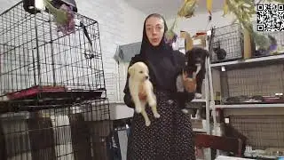 черный дым