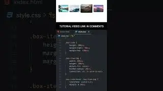 Cool Image Hover Effect Using CSS Only | CSS Animation Effect 