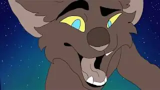animation update