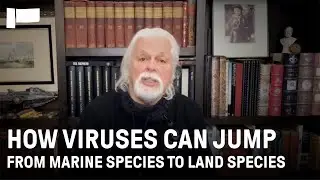 How pandemics begin, as explained by leading marine conservationist Paul Watson | Participant