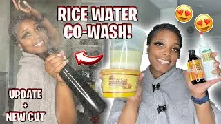 HOW TO GROW BACK YOUR BALDSPOT | RICE WATER CO-WASH