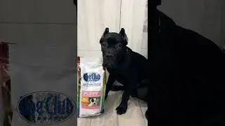 #dogclubfood корм для собак из Италии! Всё, что нужно вашему питомцу!