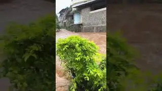 flood in Kerala 2024