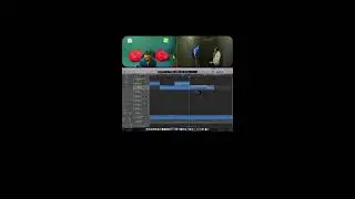 Vocal Dubing