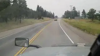 Truck hits Baby Deer he gets up and keeps running.