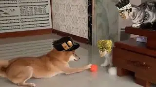 DIO Naughty Cat