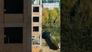 пес стрибає з 4 поверху #прикол #угар #пес