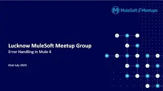 Lucknow Virtual Meetup: Error Handling in Mule 4
