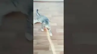 сколько вам лет если прибавить 50?? 🤣🤣🤣🤣🤣🤣🤣🤣🤣🤣🤣🤣🤣🤣🤣🤣🤣