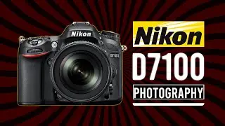 Nikon D7100 Photography | Photography | Nikon