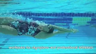 Introduction Video
