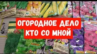 #семена