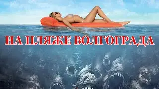 Сколько рыбы на пляже Волгограда | vovabeer