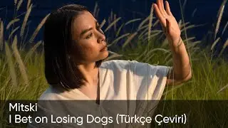 I Bet on Losing Dogs - Mitski (Türkçe Çeviri)