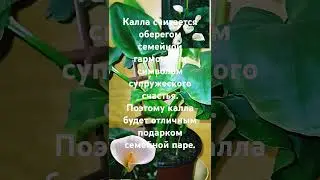 #цветы #интереснознать #природа #комнатныерастения