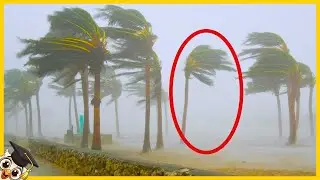 20 Glitch Nella Vita Reale Filmati dalle Telecamere