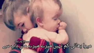 Dilkibatain poetry | Deep poetry status | Status video | Short video | Shayari | Best Urdu shayari 🥀
