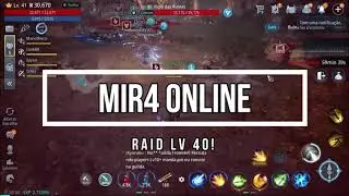 MIR4 ONLINE MMORPG  RAID LV 40