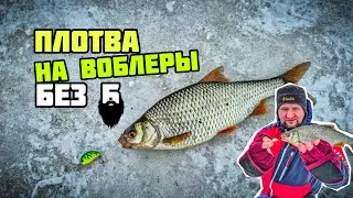 ПЛОТВА НА ВОБЛЕРЫ | Оснастил Baby Hickory безбородыми крючками | Весенний клёв в Курьяново