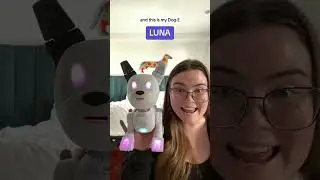 TEN dogs in ONE?! Meet Dog-E!🐶🌈  