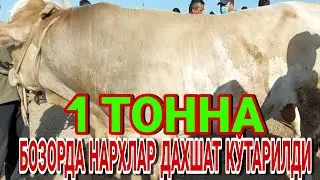 ЧИРОҚЧИ ЧОРШАНБА МОЛ БОЗОРИ САВДОЛАР АВЖИДА.Commodity market price