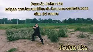 JODAN UKE NAGASHI  (Los pasos para ejecutar la técnica)