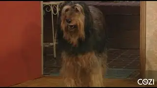 Twelve Bucks! | Married...With Children | COZI Dozen