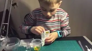 Лаборатория Еврика! Делаем химический эксперимент