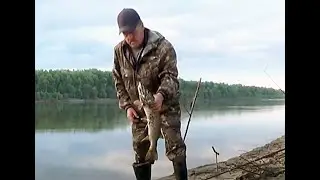 На Иртыше. 22-29 июня. Щука на донки, на живца.