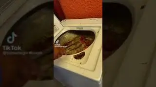 You can’t eat at everybody house