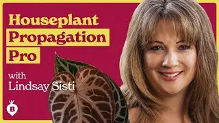 Multiplying All Your Plants with Lindsay Sisti | The Beet