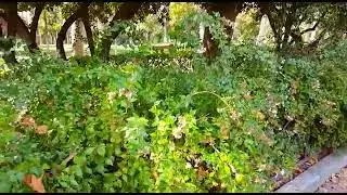 EL RETIRO DE MADRID MI LUGAR SECRETO