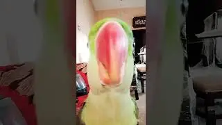 #totuvlog