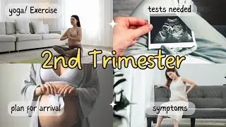 Guide to you're Second Trimester Of Pregnancy | What to Expect | Milestones | Personal care |