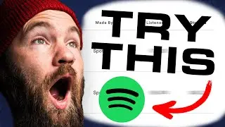 The TRUTH About Spotify Playlists.