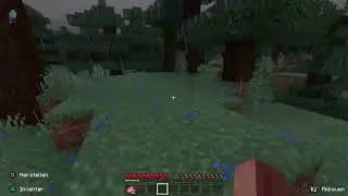 PS4 Prø [Deutsch]  minecraft