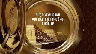 BIA SAIGON | BIA SAIGON GOLD - QUÀ TẶNG VÀNG CHO VẠN SỰ HOÀNG KIM